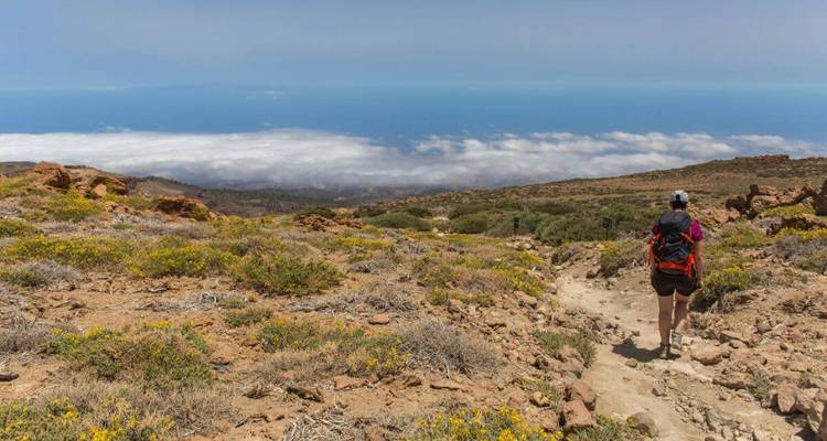 Randonneur marchant sur un sentier au-dessus des nuages avec vue sur l'océan.