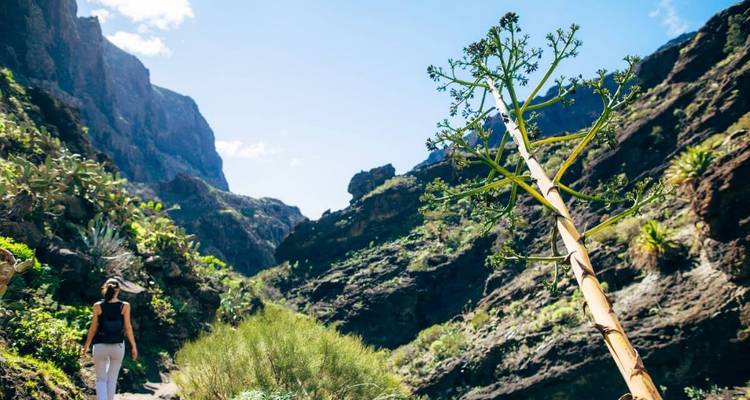 Femme marchant à travers un paysage dramatique de vallée volcanique.
