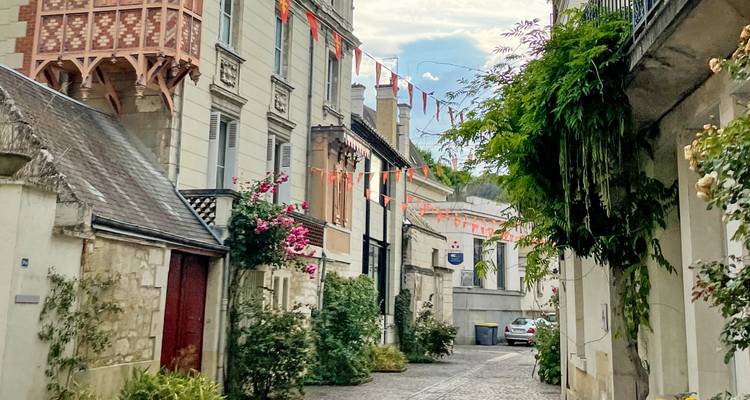 Encantador callejón estrecho de piedra con banderines, plantas florecientes y casas antiguas