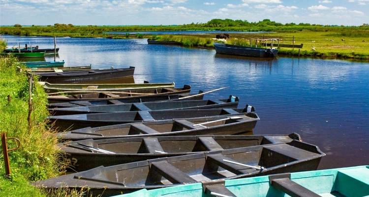 Des barques amarrées le long d'une voie d'eau calme.