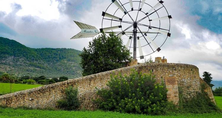 Un moulin à vent vintage dans un champ verdoyant avec des montagnes en arrière-plan.