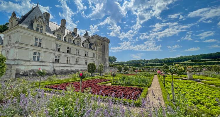 Vastes jardins de château débordant de fleurs colorées sous un ciel lumineux