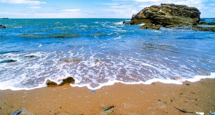 Des vagues qui s'écrasent sur un rivage rocheux.