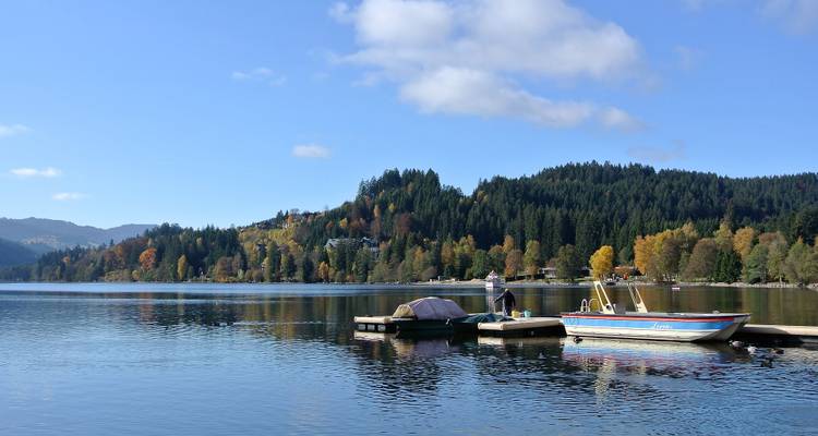 Calm lake with trees and hills in the background