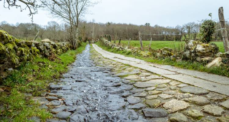 Stone path through a rural green landscape with a stone wall