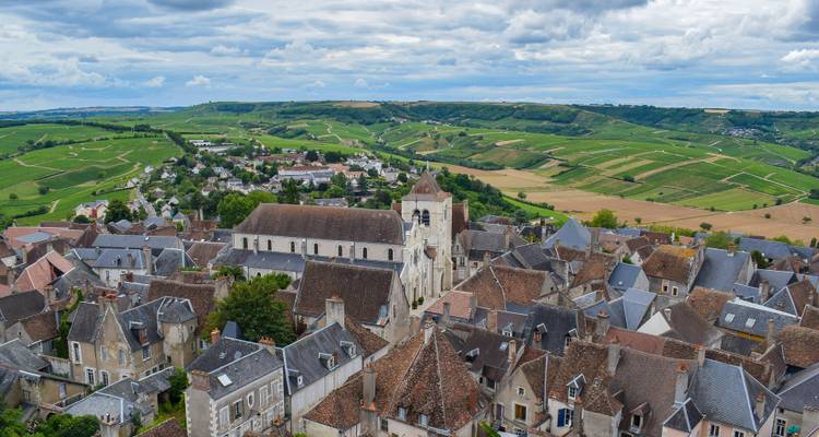 Une vue surélevée d'une ville présentant des toits historiques et des collines ondulantes en arrière-plan.