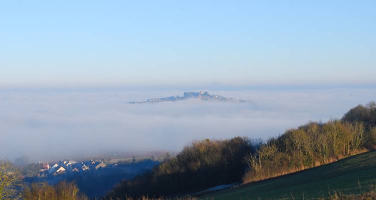 Une vue lointaine d'une ville enveloppée de brume avec des arbres dénudés au premier plan.