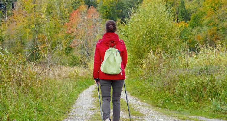 Wanderer in roter Jacke geht auf Waldweg mit Grasbewuchs inmitten von Herbstlaub.