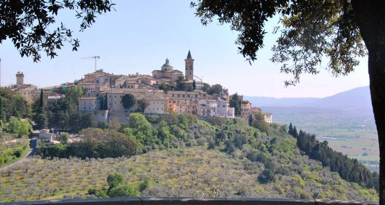 Vue de colline d'un village historique avec des oliviers.