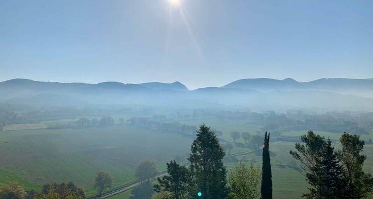 Lever de soleil brumeux sur une vallée avec des arbres en silhouette au premier plan.
