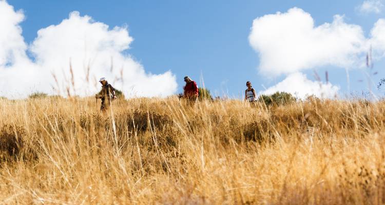 Trois personnes marchant à travers de hautes herbes sèches.