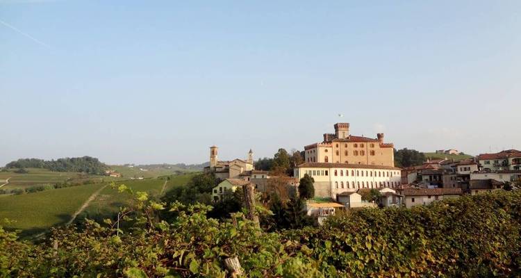 Paysage de vignoble avec un château en arrière-plan.