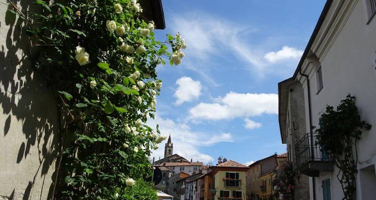 Charmante scène de rue avec bâtiments et église, ornée de fleurs.