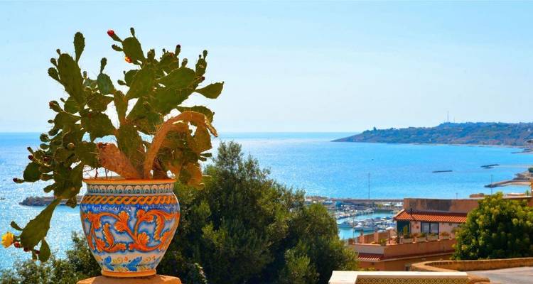 Pot en céramique décoratif avec un cactus surplombant une baie ensoleillée.