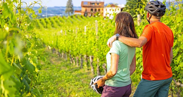 Couple cycliste debout entre les rangées de vignes baigné dans une lumière chaude du soleil, tenant des casques.