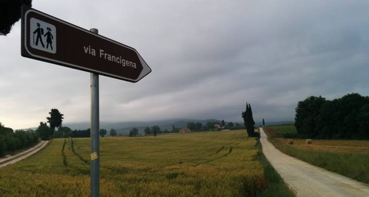 Champ avec un panneau routier sous un ciel nuageux.