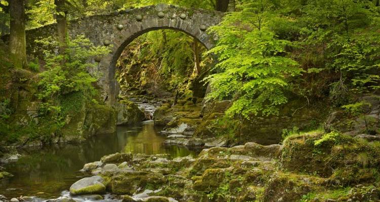 Puente de arco de piedra antigua que cruza un arroyo cubierto de musgo en una garganta verde y exuberante.