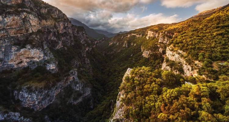 Un paysage dramatique de canyon avec une végétation luxuriante.