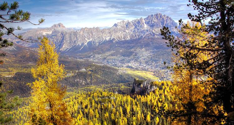 Weite Aussicht auf Berge durch herbstlich gefärbte Bäume.