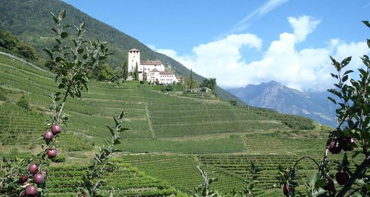 Un vignoble pittoresque avec un château sur une colline et des montagnes en arrière-plan.