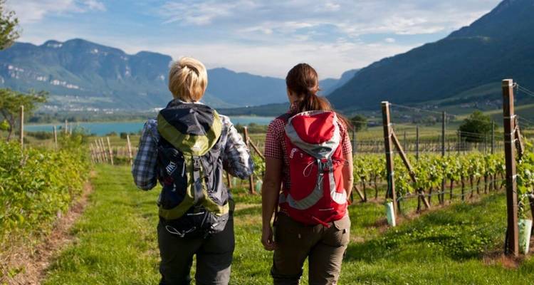 Twee wandelaars met rugzakken die door een wijngaard lopen.