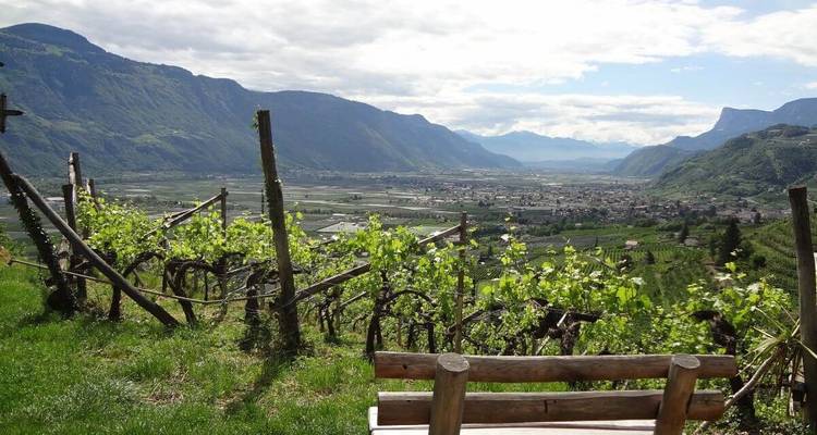 Banc surplombant une vallée avec des vignobles et des montagnes.