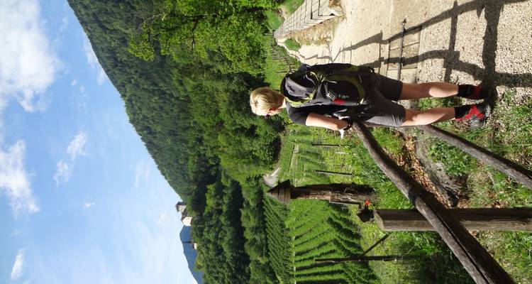 A person hiking on a trail with vineyards.
