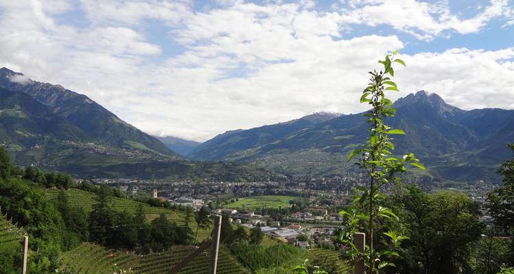 Expansive valley view with mountains in the background.