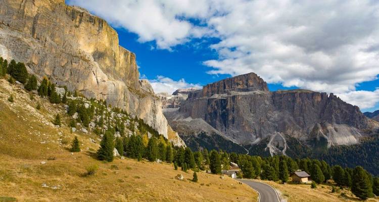 Paysage de montagne avec route et conifères.