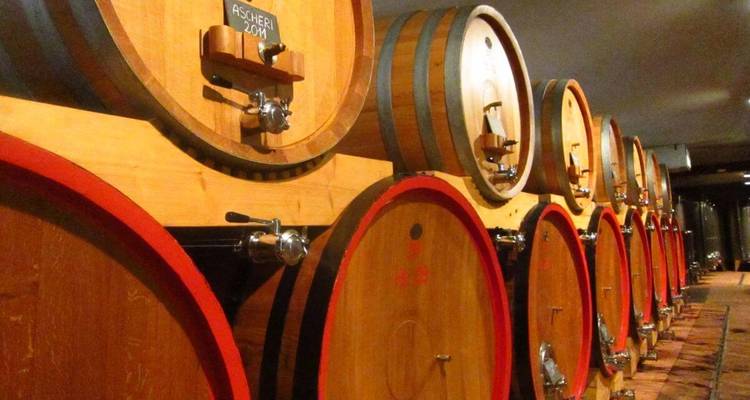 Rangée de tonneaux en bois dans la zone de stockage d'une cave à vin.