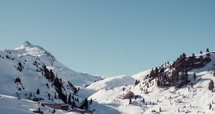 Montagnes enneigées avec une couverture arborée clairsemée sous un ciel dégagé.