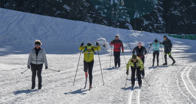 Groupe de personnes faisant du ski sur un sentier enneigé dans une forêt.