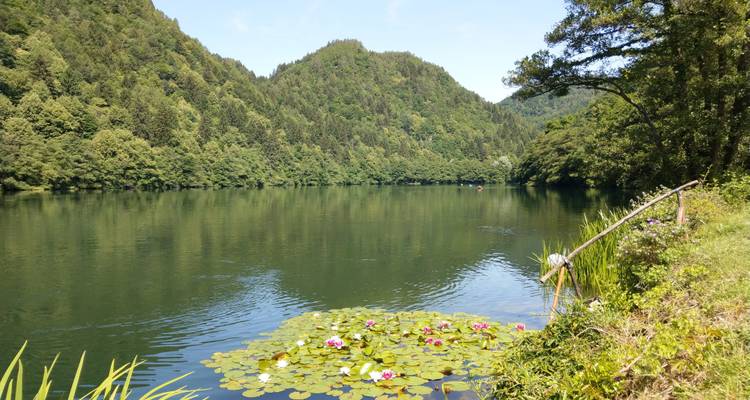 Ruhiger See umgeben von bewaldeten Hügeln.