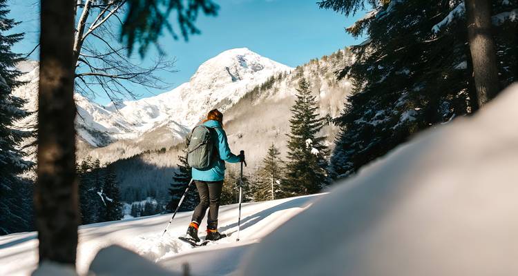 Un senderista solitario camina por un bosque nevado con una impresionante montaña de fondo.
