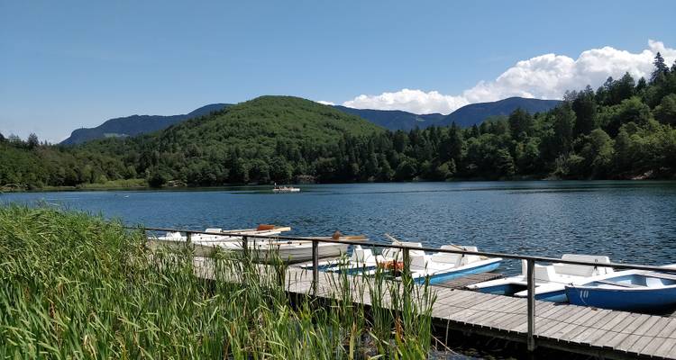 Lakeside view with boats and forested hills in the background.