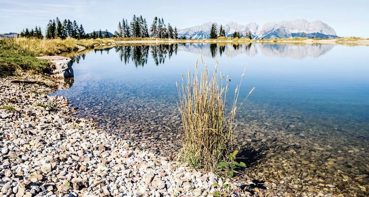 Sereen alpien meer met spiegelglad reflecties van dennen en rotsige bergtoppen onder een heldere blauwe hemel