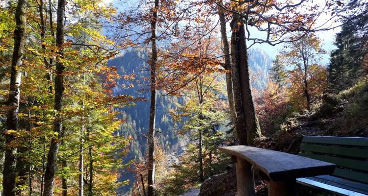 Banc dans une zone montagneuse boisée avec des feuilles d'automne.