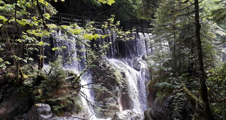 Cascade dévalant des rochers dans un cadre forestier luxuriant.