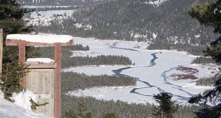 Une vue à vol d'oiseau d'une rivière gelée sinueuse au milieu d'une forêt enneigée.