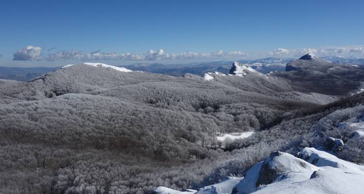 Schneebedeckte bewaldete Gipfel bilden eine riesige weiße Landschaft unter klarem blauem Winterhimmel.