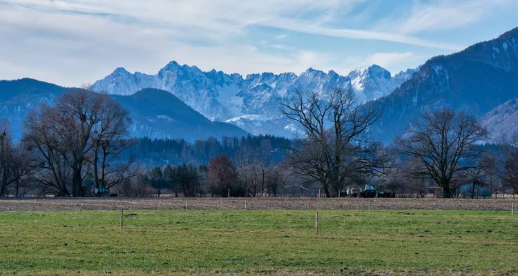 Schneebedeckte zerklüftete Gipfel, die hinter blattlosen Bäumen aufragen, und grüne Wiesen unter einem klaren Himmel.