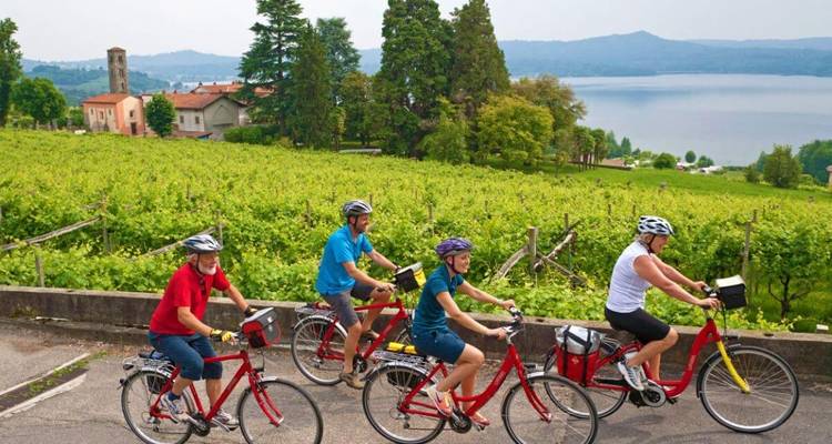 Des cyclistes roulant à travers un vignoble pittoresque avec un lac en arrière-plan.