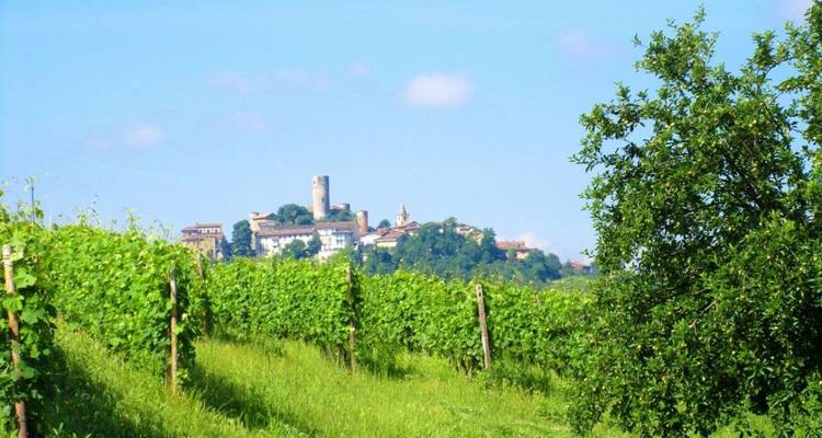 Vignoble au premier plan avec une ville historique perchée sur une colline au loin.
