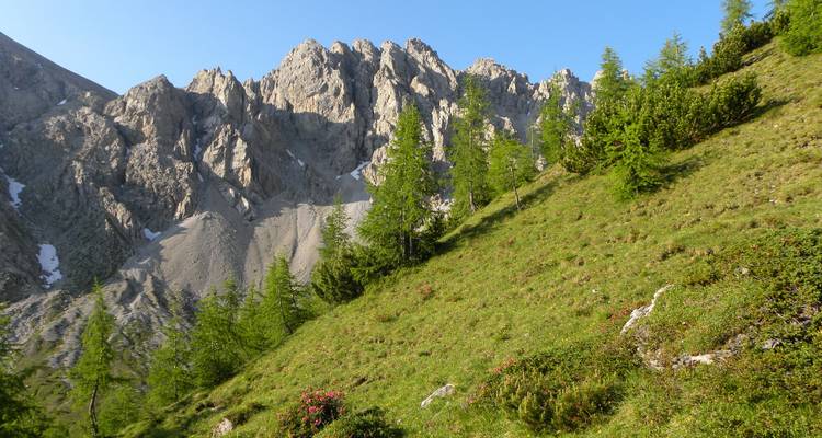 Terrain montagneux avec un premier plan verdoyant et des pics rocheux.