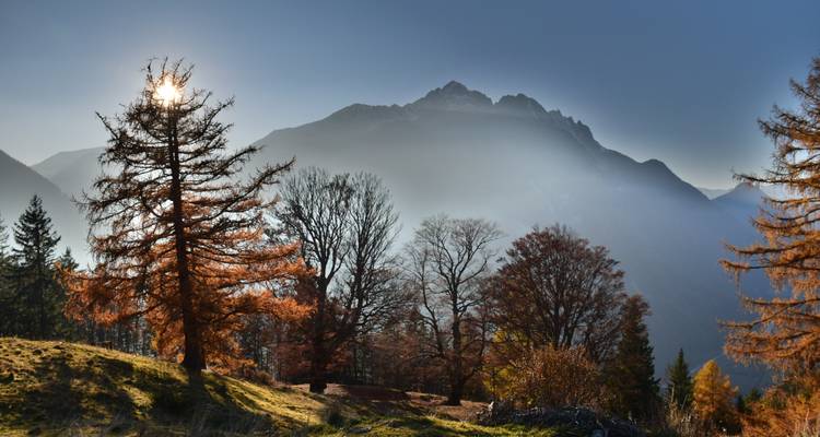 Montagnes et arbres sous un ciel dégagé avec le soleil.
