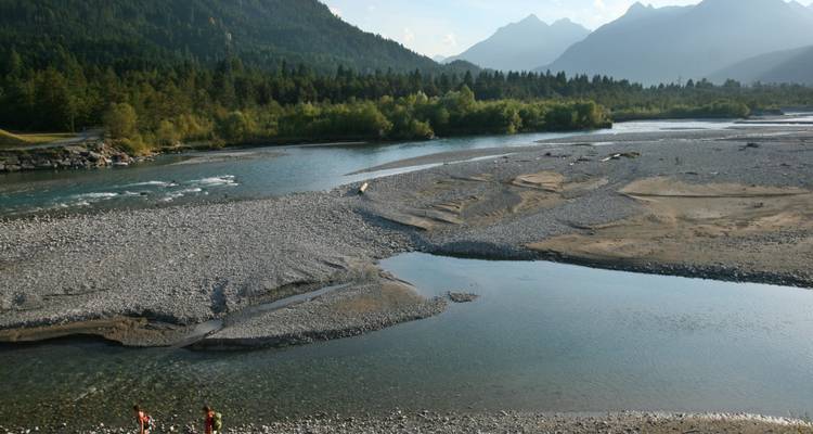 Brede rivier die door een bergvallei stroomt met grindbankken, dennenbossen en mistige alpiene toppen.