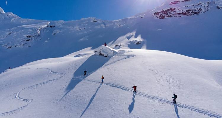 Des skieurs faisant de la randonnée sur une crête de montagne enneigée sous un soleil éclatant.