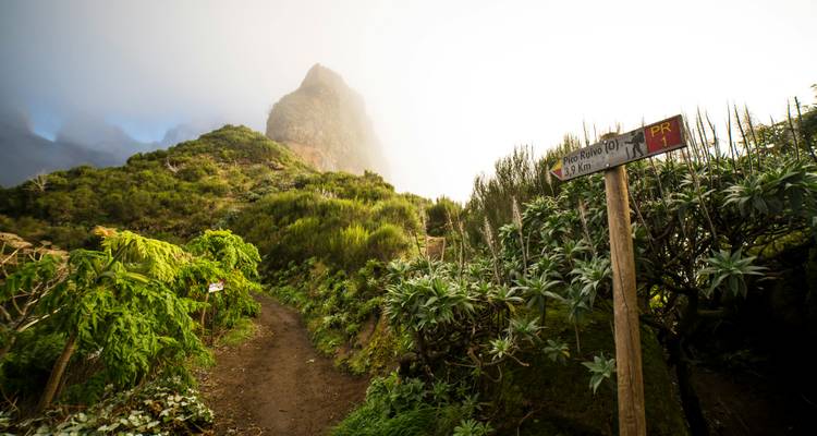 Sendero de montaña con una señal y pico brumoso al fondo.