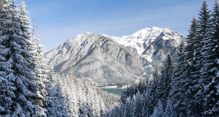 Paysage de montagne avec des arbres couverts de neige et un lac en arrière-plan.