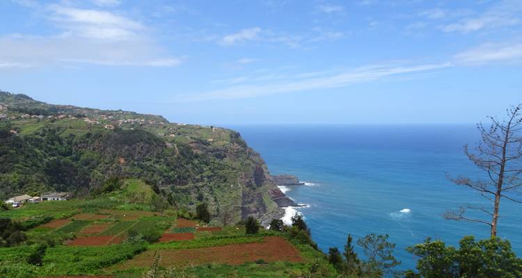 Lush green landscape with clifftop view.